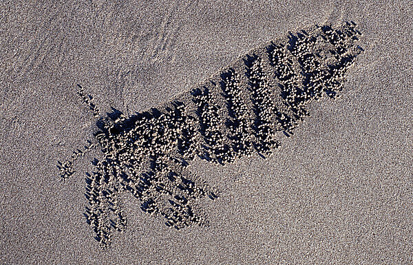 Sand formation, made by Sand bubbler