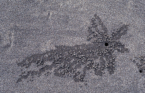 Sand formation, made by Sand bubbler