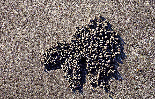Sand formation, made by Sand bubbler
