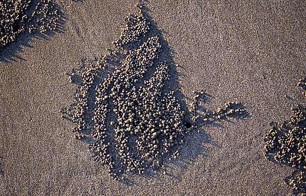 Sand formation, made by Sand bubbler