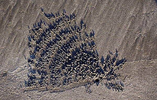 Sand formation, made by Sand bubbler