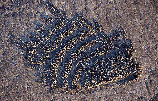Sand formation, made by Sand bubbler