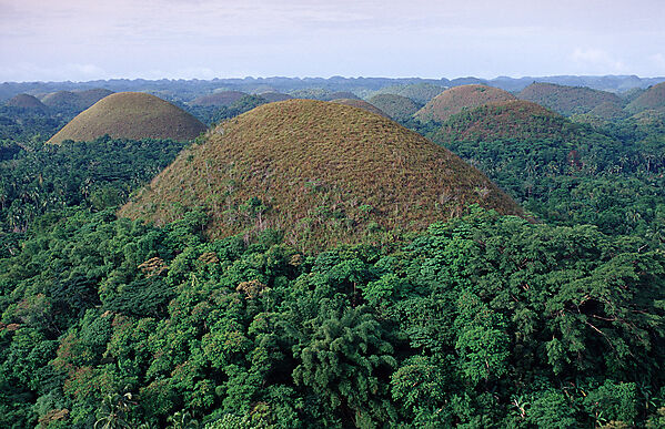 Chocolate Hills