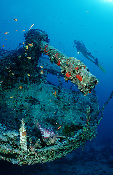 Taucher am Schiffswrack Thistlegorm