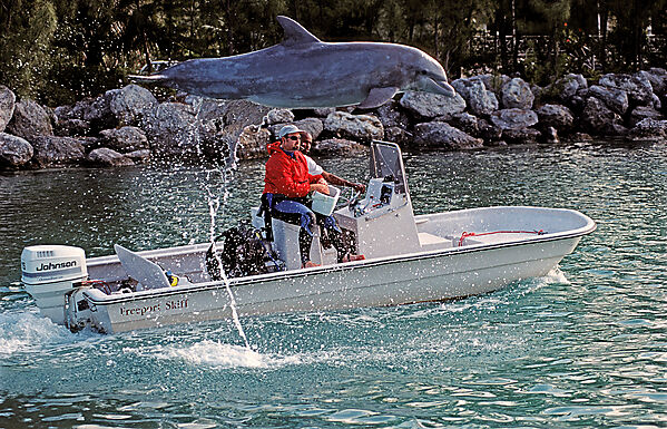 Jumping Bottlenose Dolphin and trainer