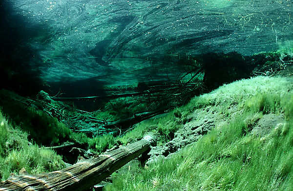 Gebirgs-Quelle, Gebirgssee