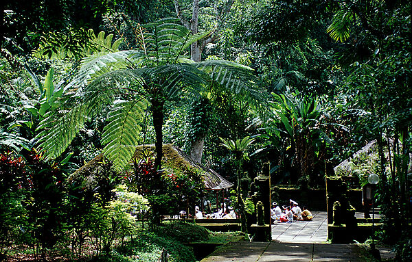 Glaeubige beten im Tempel
