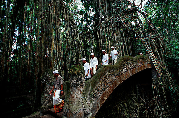 Glaeubige im Hindu Tempel Monkey Forest