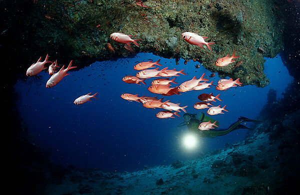 Scuba diver and Blotcheye soldierfishes, Underwater cave