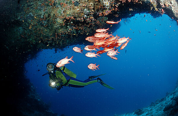 Scuba diver and Blotcheye soldierfishes, Underwater cave