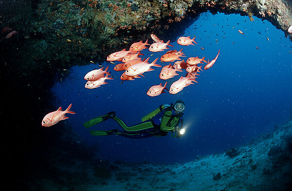 Scuba diver and Blotcheye soldierfishes, Underwater cave