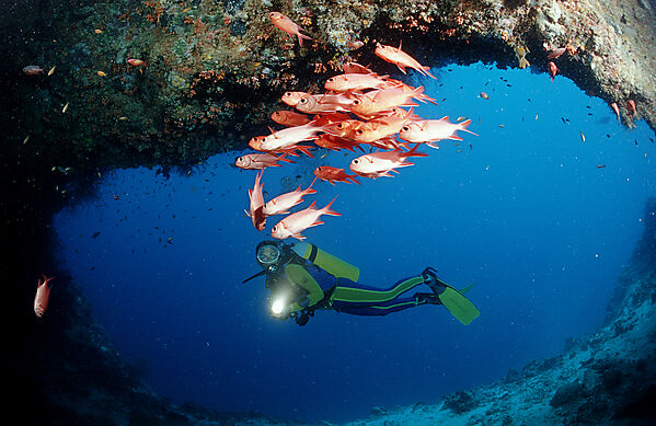 Scuba diver and Blotcheye soldierfishes, Underwater cave