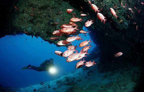 Scuba diver and Blotcheye soldierfishes, Underwater cave