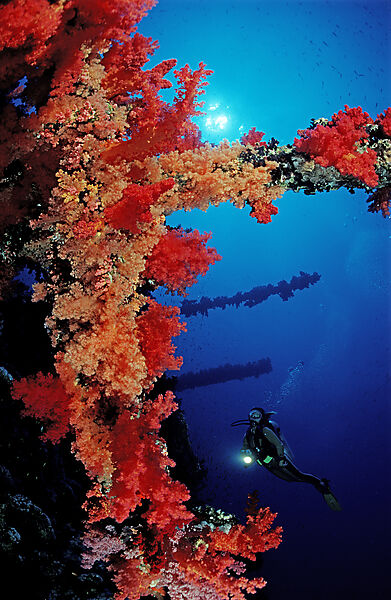 Wreck diving Numibia