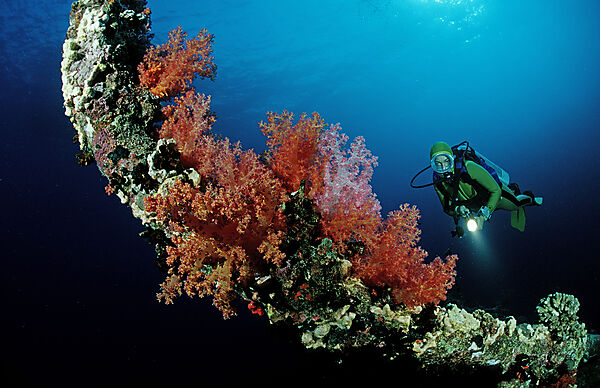 Wreck diving Aida