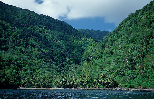 Cocos Insel