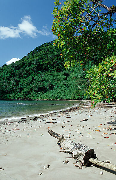 Einsamer Sandstrand