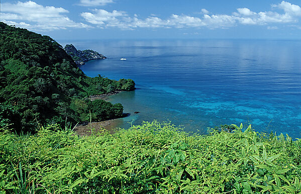 Cocos Insel