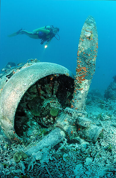 Sunken aeroplane and scuba diver