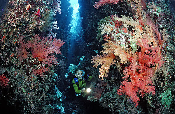 Scuba diver in underwater grotto