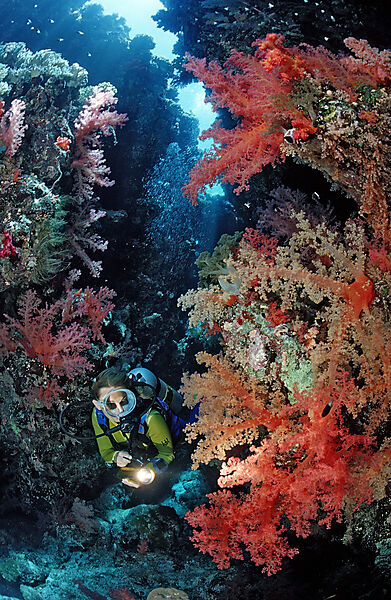 Scuba diver in underwater grotto