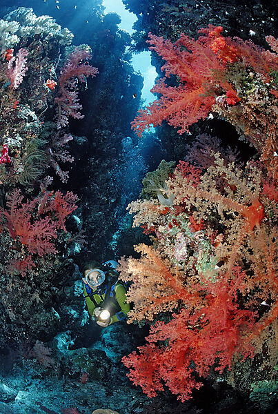 Scuba diver in underwater grotto