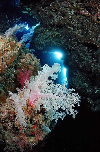 Unterwassergrotte und Weichkorallen