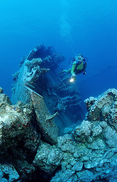 scuba diver explores unknown ship wreck