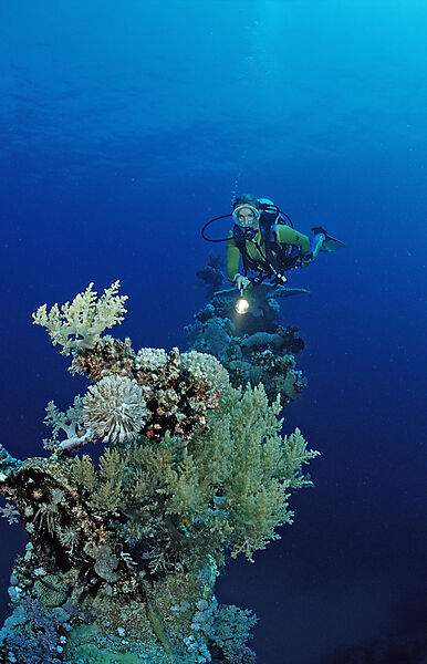 scuba diver explores unknown ship wreck