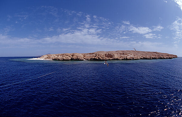 Rocky Island