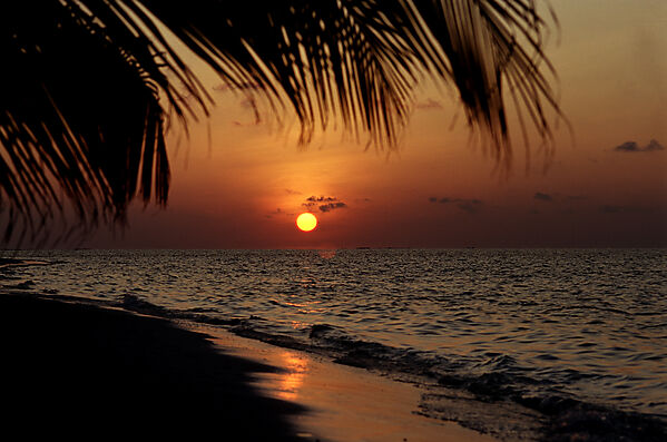 Sundown on the sandy beach