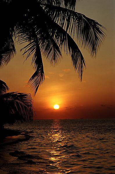 Sundown on the sandy beach