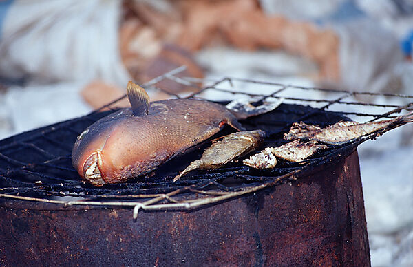 Drueckerfisch auf Grill