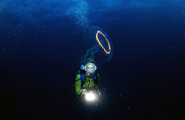 Scuba diver and Jellyfish