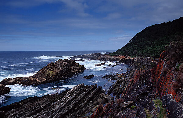 Sharp Rock coast