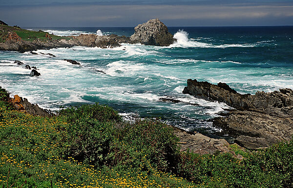 Sharp Rock coast