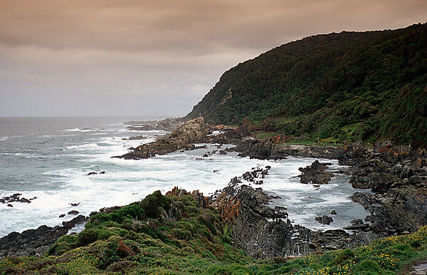 Sharp Rock coast