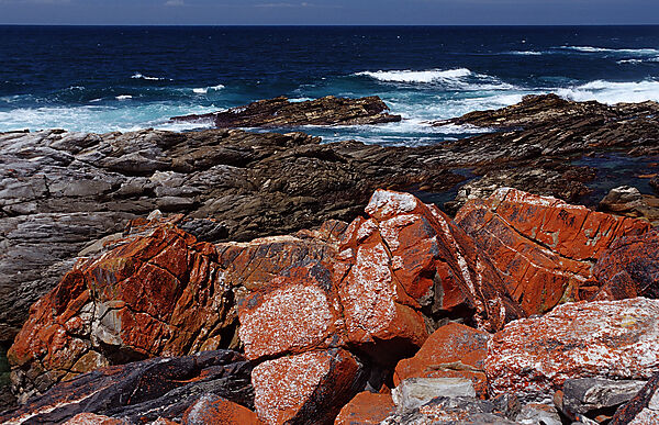 Sharp Rock coast