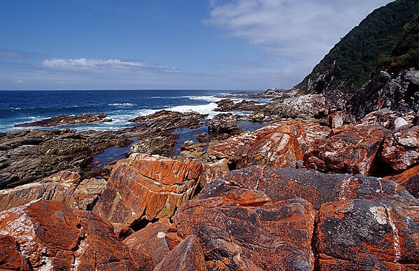 Sharp Rock coast