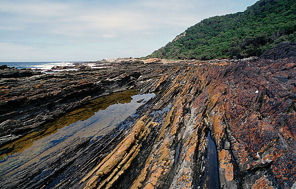 Sharp Rock coast