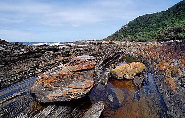 Sharp Rock coast