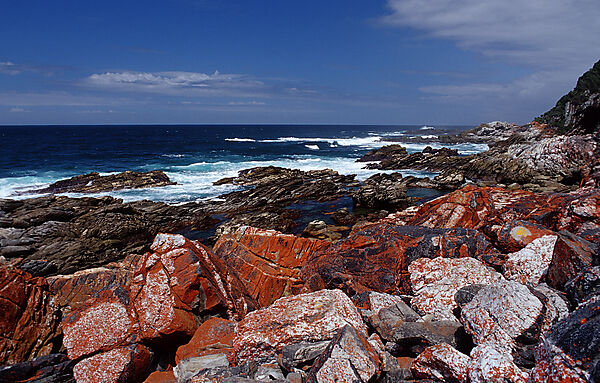 Sharp Rock coast