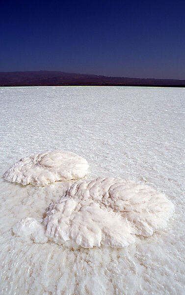 Lac Assal, Lake Assal