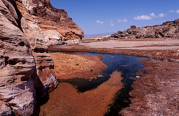 Volcanic spring beside Lac Assal, Lake Assal