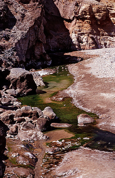 Volcanic spring beside Lac Assal, Lake Assal