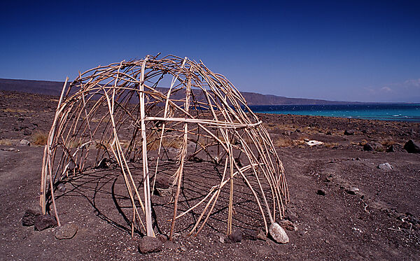 Desert camp of Afar nomads