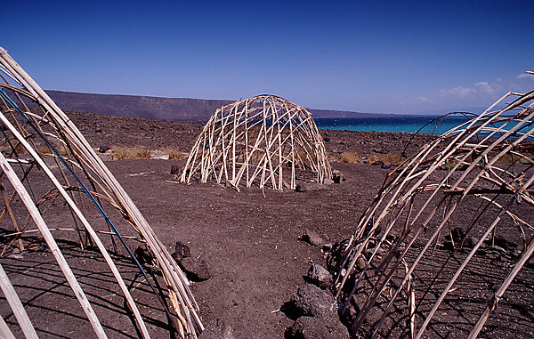 Desert camp of Afar nomads