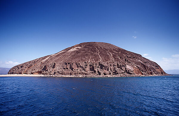 Guinni Koma, devils island