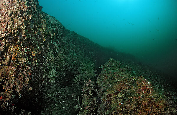 Tektonische Bruchkante unter Wasser