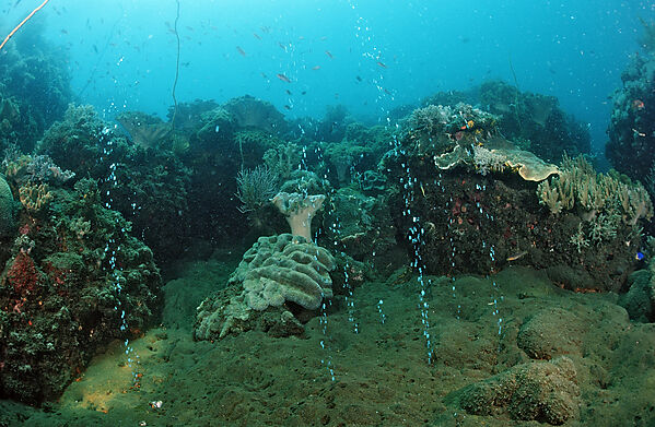 Volcanic gas bubbles